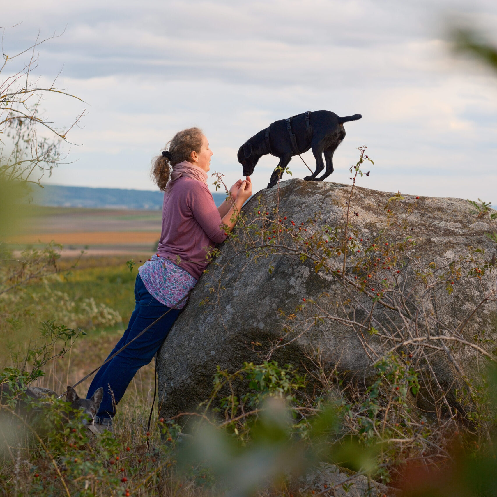Hundetrainerin Wien