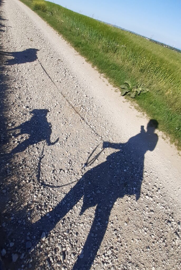 Gassibetreuung