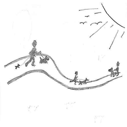 Socialwalks